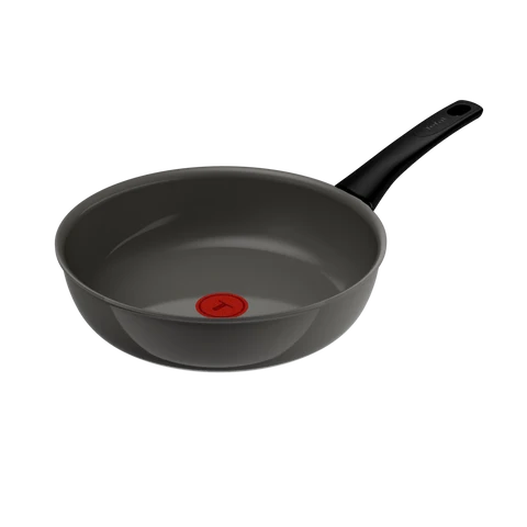 ΤΗΓΑΝΙ 26εκ. RENEWAL G01777 TEFAL